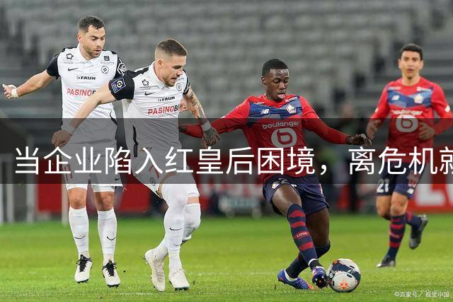 当企业陷入"红皇后困境"，离危机就不远了